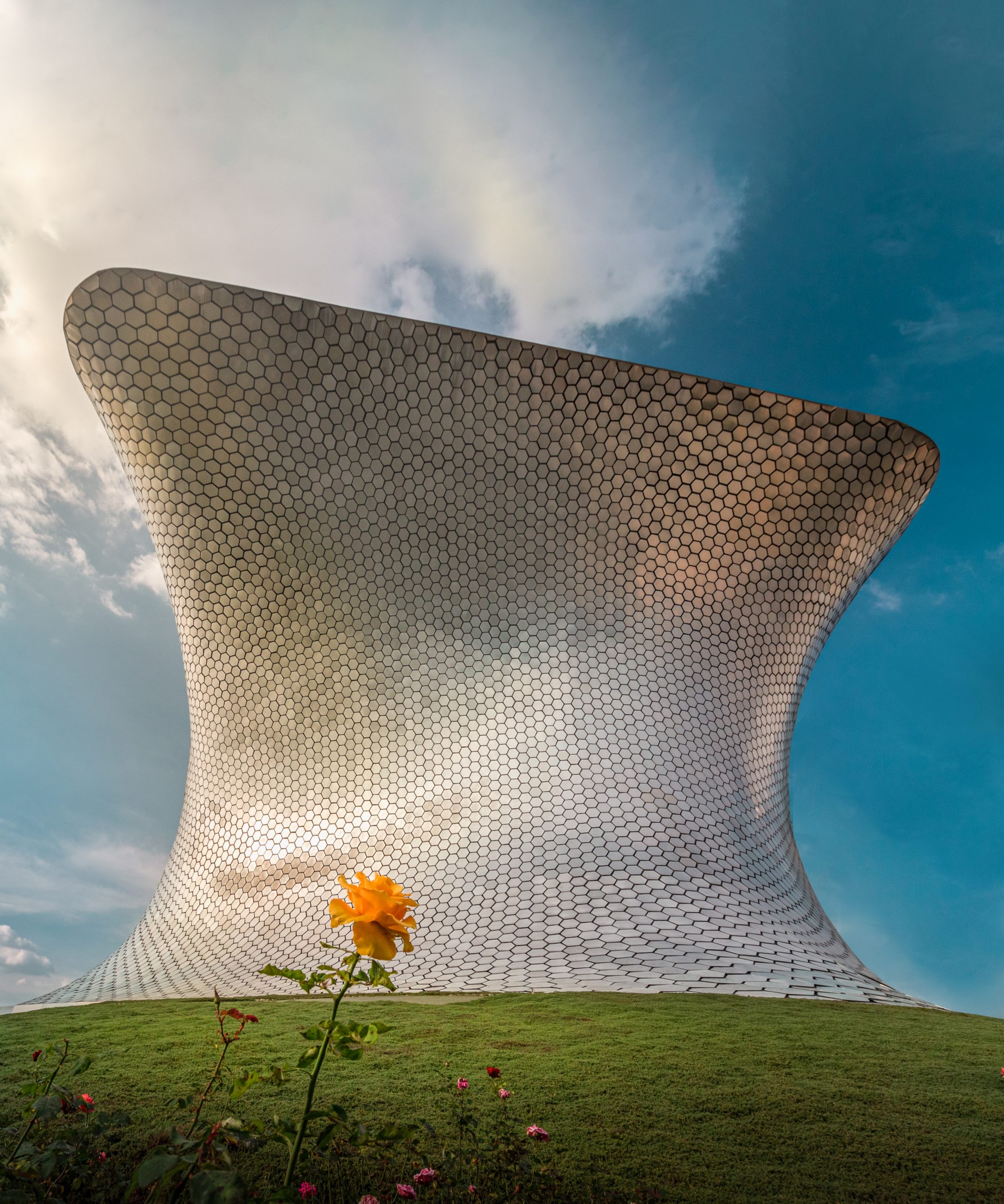 Soumaya Museum against the cloudy sky with an orange flower on the foreground saljamex